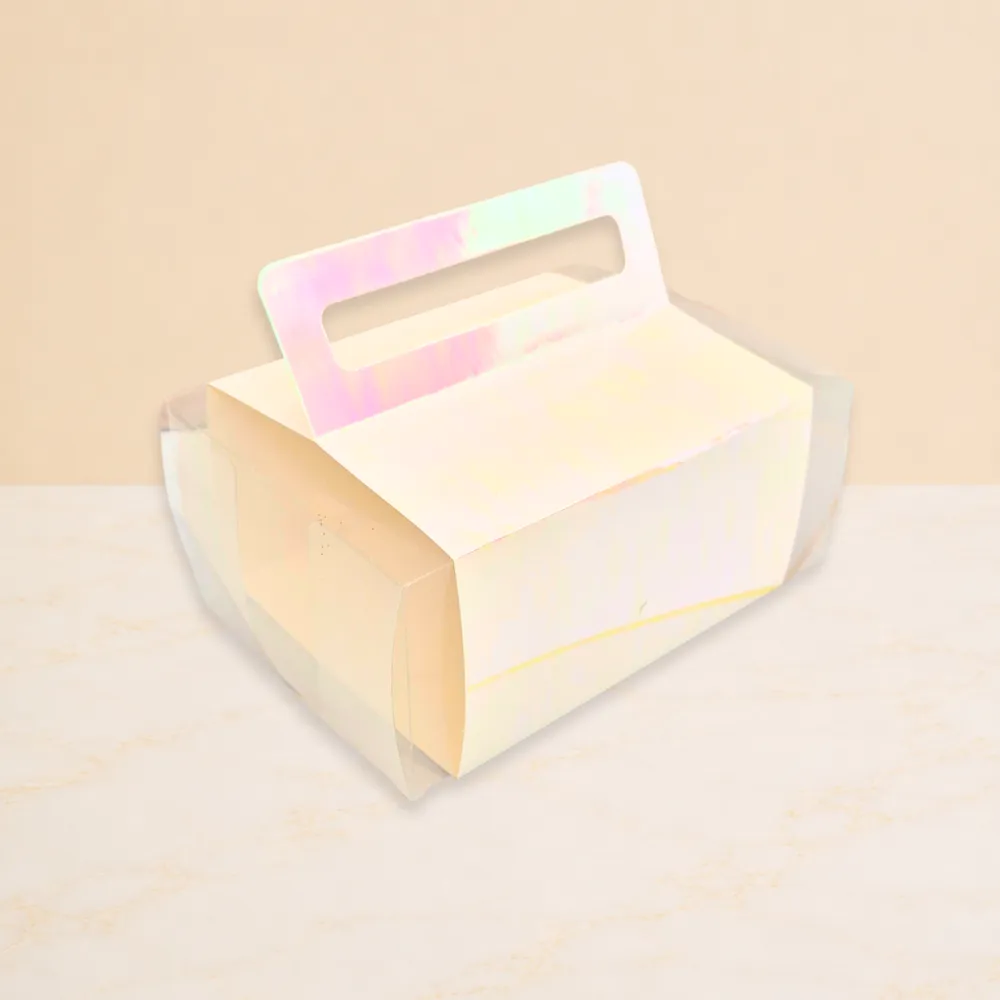 Caja acetato con manigueta de cartón tornasol